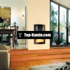Каминная топка Focus Pictofocus 860